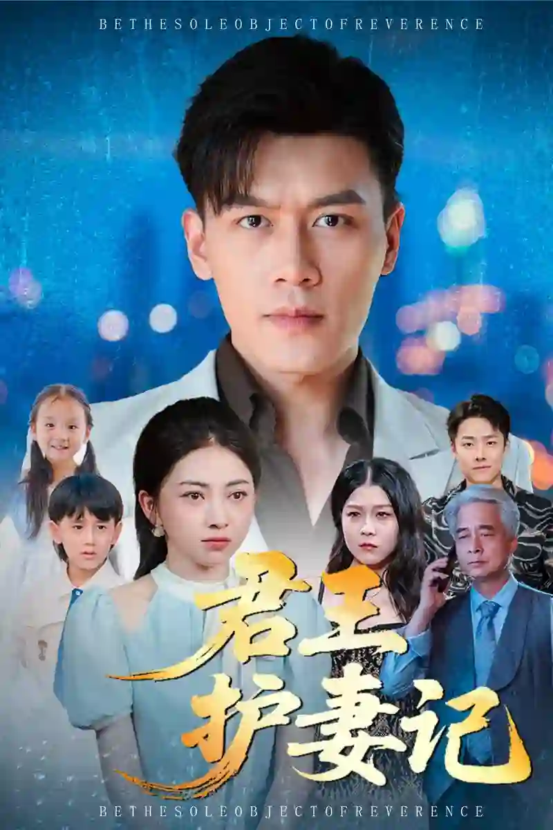 君王护妻记（独尊）