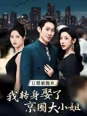 订婚被抛弃,我转身取了京圈大小姐