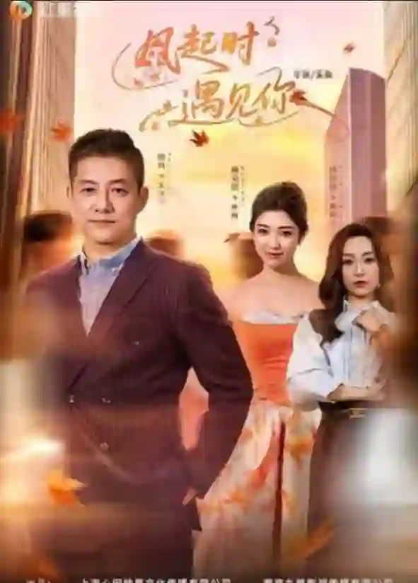 风起时遇见你